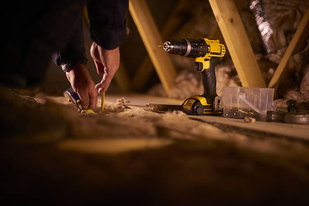 Best Insulation Removal  in Lakewood Park, FL